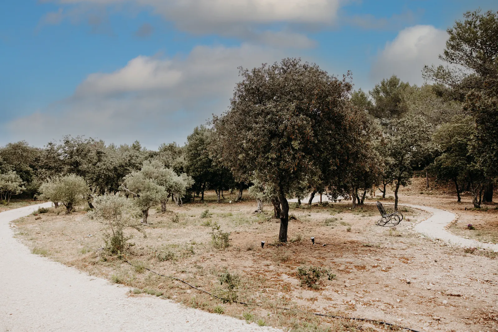 Le chemin qui traverse le jardin nord, entre les oliviers