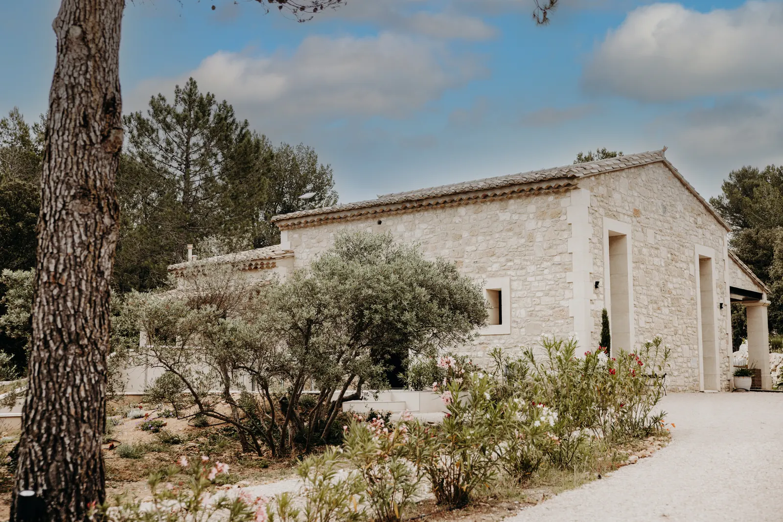 Oliviers et chênes verts autour de la maison, au pied des Alpilles