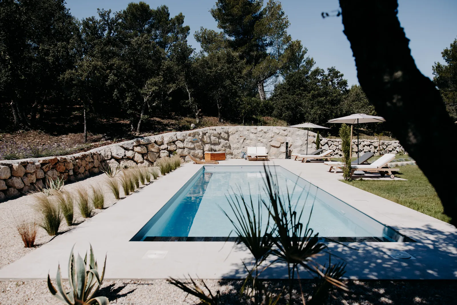 La piscine au sel entre murets de pierre, graminées et pins